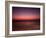 Night Surfer-Josh Adamski-Framed Photographic Print