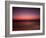 Night Surfer-Josh Adamski-Framed Photographic Print