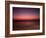 Night Surfer-Josh Adamski-Framed Photographic Print