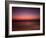 Night Surfer-Josh Adamski-Framed Photographic Print