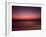 Night Surfer-Josh Adamski-Framed Photographic Print