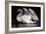 Night Swan, 2022, (pastel on paper)-Mark Adlington-Framed Giclee Print