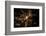 Night time satellite image of Atlanta, Georgia, USA-null-Framed Photographic Print