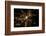 Night time satellite image of Atlanta, Georgia, USA-null-Framed Photographic Print