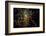 Night time satellite image of Berlin, Germany-null-Framed Photographic Print