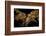 Night time satellite image of Istanbul, Turkey-null-Framed Photographic Print