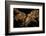 Night time satellite image of Istanbul, Turkey-null-Framed Photographic Print