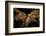 Night time satellite image of Istanbul, Turkey-null-Framed Photographic Print