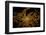 Night time satellite image of Moscow, Russia-null-Framed Photographic Print