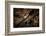 Night time satellite image of New York, USA-null-Framed Photographic Print