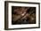 Night time satellite image of New York, USA-null-Framed Photographic Print