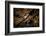 Night time satellite image of New York, USA-null-Framed Photographic Print