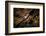 Night time satellite image of New York, USA-null-Framed Photographic Print