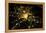 Night time satellite image of Washington DC, USA-null-Framed Premier Image Canvas