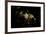 Night time satellite view of Dammam, Eastern Province, Saudi Arabia-null-Framed Photographic Print