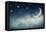 Night Time with Stars and Moon-egal-Framed Premier Image Canvas