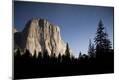 Photographic Print