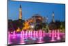 Night View of Fountain Light Show with Hagia Sophia Behind, Sultanahmet, Istanbul, Turkey-Stefano Politi Markovina-Mounted Photographic Print