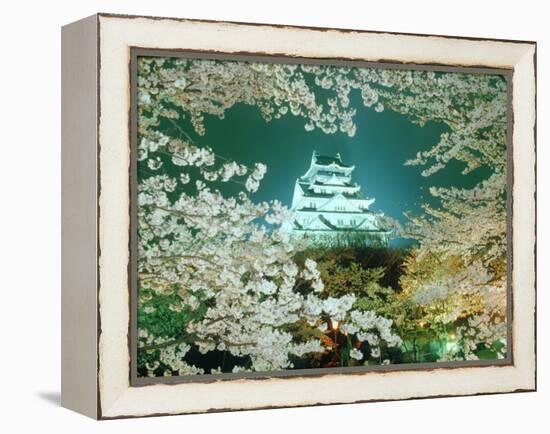 Night View of Osaka Castle & Cherry Blossoms, Japan-null-Framed Premier Image Canvas