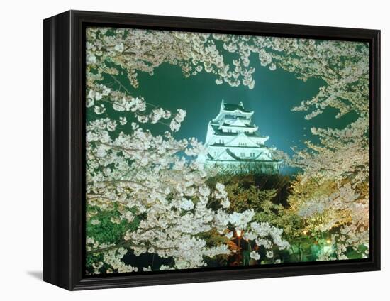 Night View of Osaka Castle & Cherry Blossoms, Japan-null-Framed Premier Image Canvas