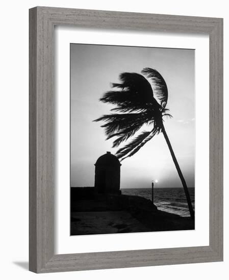 Night View of San Felipe Fort-Dmitri Kessel-Framed Photographic Print