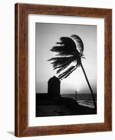 Night View of San Felipe Fort-Dmitri Kessel-Framed Photographic Print