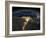 Night View of the Eastern Mediterranean Sea-null-Framed Photo