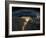 Night View of the Eastern Mediterranean Sea-null-Framed Photo