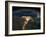 Night View of the Eastern Mediterranean Sea-null-Framed Photo