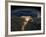 Night View of the Eastern Mediterranean Sea-null-Framed Photo