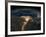 Night View of the Eastern Mediterranean Sea-null-Framed Photo