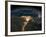 Night View of the Eastern Mediterranean Sea-null-Framed Photo