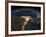 Night View of the Eastern Mediterranean Sea-null-Framed Photo