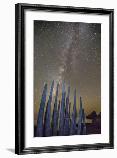 Night View of the Milky Way with Organ Pipe Cactus (Stenocereus Thurberi) in Foreground-Michael Nolan-Framed Photographic Print