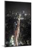 Night View of Tokyo from Tokyo City View Observation Deck, Roppongi Hills, Tokyo, Japan-Stuart Black-Mounted Photographic Print