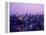 Night View of Tokyo Tower-null-Framed Premier Image Canvas