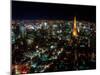 Night View of Tokyo Tower-null-Mounted Photographic Print