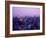 Night View of Tokyo Tower-null-Framed Photographic Print