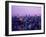 Night View of Tokyo Tower-null-Framed Photographic Print