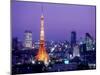 Night View of Tokyo Tower-null-Mounted Photographic Print