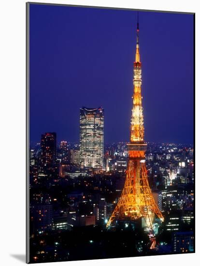 Night View of Tokyo Tower-null-Mounted Photographic Print