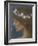 Night (W/C & Bodycolour on Paper) (See 48895)-Edward Robert Hughes-Framed Giclee Print