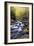 Nightfall on Tremont II-Danny Head-Framed Photographic Print