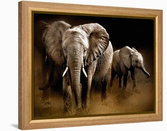 Nightfall-Bobbie Goodrich-Framed Stretched Canvas