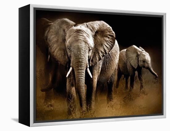 Nightfall-Bobbie Goodrich-Framed Stretched Canvas