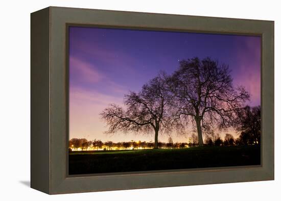 Nightime in Hyde Park, London-Alex Saberi-Framed Premier Image Canvas