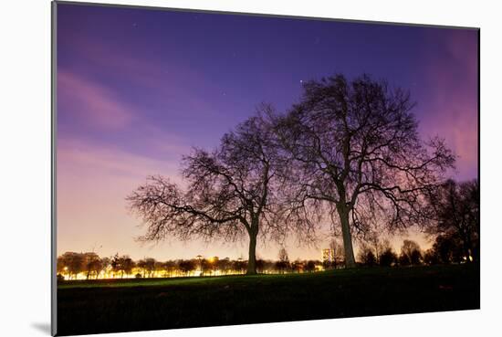 Nightime in Hyde Park, London-Alex Saberi-Mounted Photographic Print