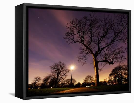 Nightime in Hyde Park, London-Alex Saberi-Framed Premier Image Canvas