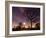 Nightime in Hyde Park, London-Alex Saberi-Framed Photographic Print