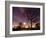 Nightime in Hyde Park, London-Alex Saberi-Framed Photographic Print